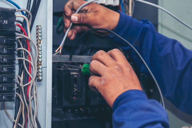 Best Electric Panel Repair  in Chesilhurst, NJ